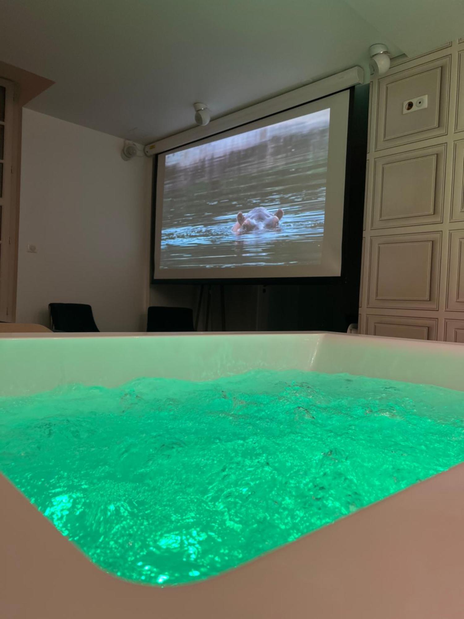 Appartement Avec Jacuzzi Sauna & Home Cinema - Nid D'Анже Екстериор снимка